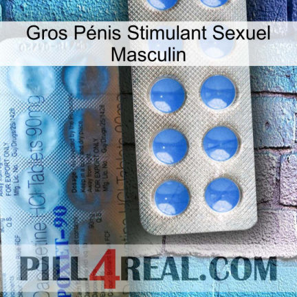 Gros Pénis Stimulant Sexuel Masculin 40